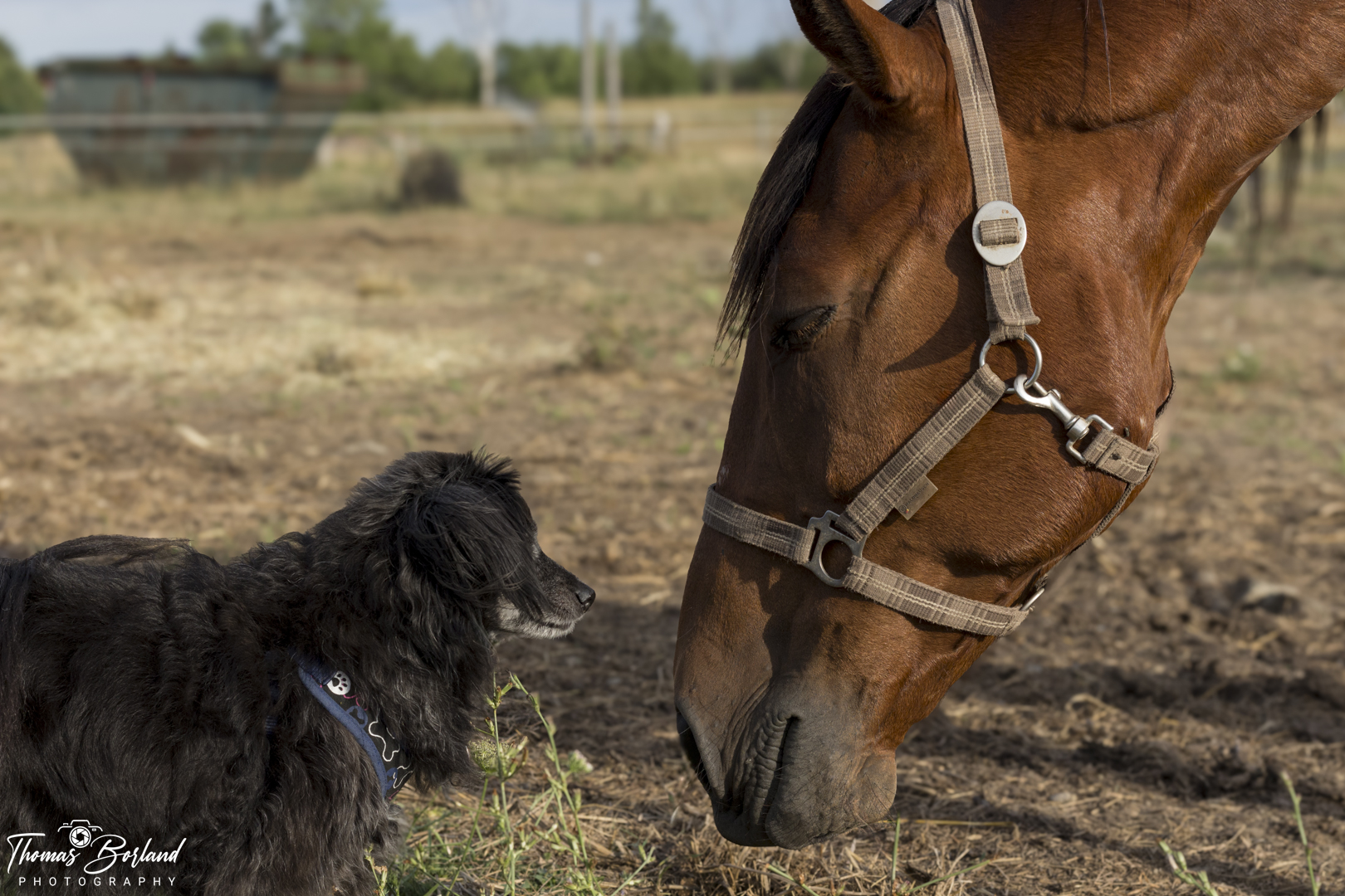 Making A New Friend